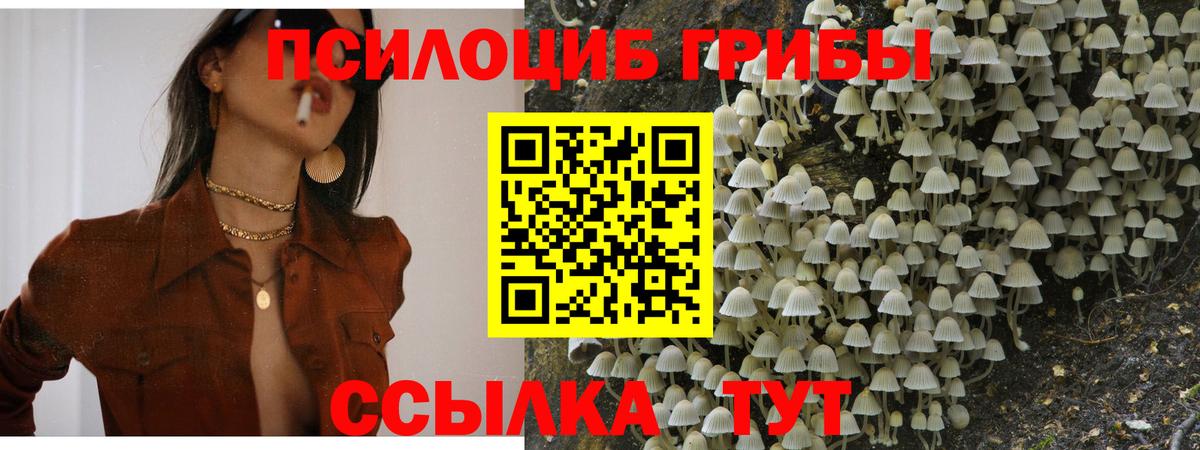 Галлюциногенные грибы MAGIC MUSHROOMS  Вход с VPN  Луховицы 